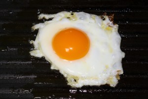 This is one of Misty's eggs. Check out how orange that yoke is! Feeding her veggies gives the egg beta-carotene (which is responsible for the deep orange color and makes the eggs healthier than store-bought ones).